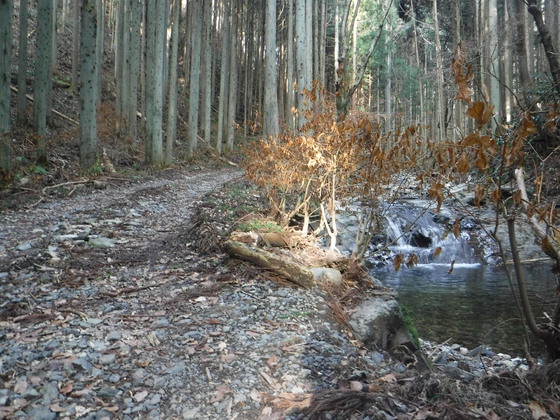 翁倉山hike 翁倉山hike