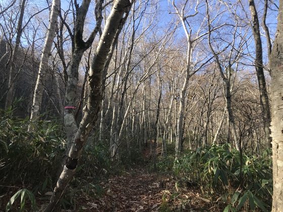 北泉ヶ岳hike 北泉ヶ岳hike