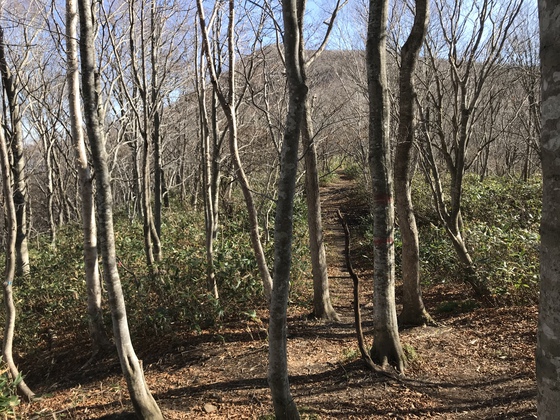 北泉ヶ岳hike 北泉ヶ岳hike