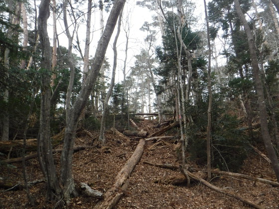 翁倉山hike 翁倉山hike