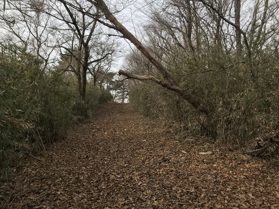 番ヶ森山hike 番ヶ森山hike