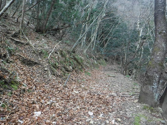 翁倉山hike 翁倉山hike