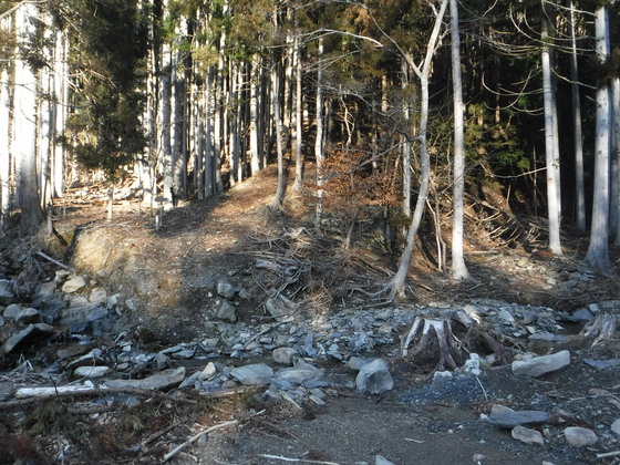 石投山hike 石投山hike