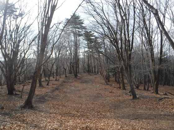 石投山hike 石投山hike