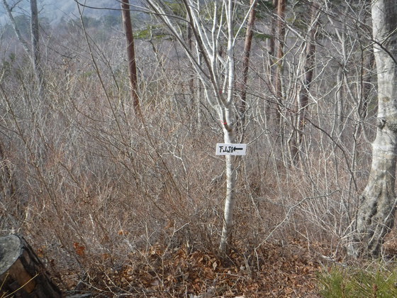 翁倉山hike 翁倉山hike