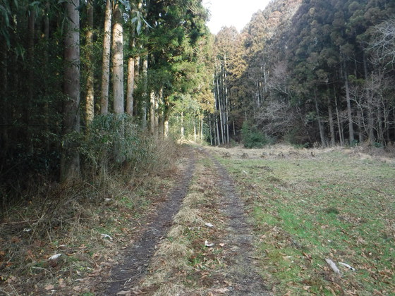 翁倉山hike 翁倉山hike