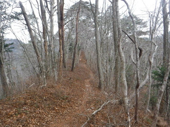 翁倉山hike 翁倉山hike