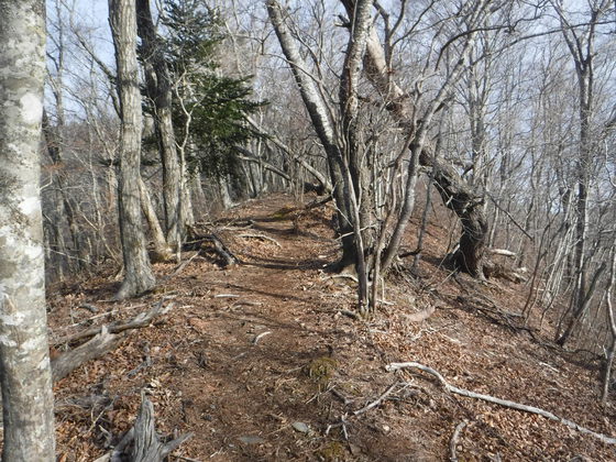 石投山hike 石投山hike