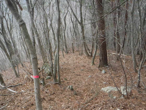 翁倉山hike 翁倉山hike