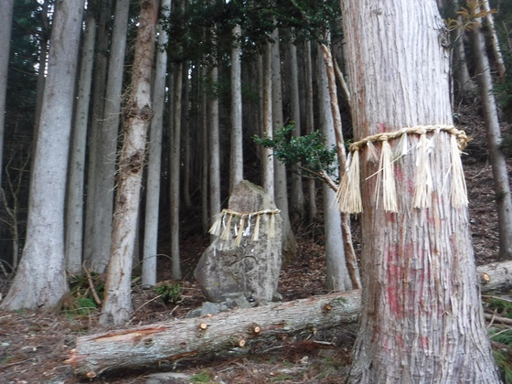 石投山hike 石投山hike