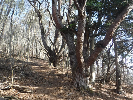 石投山hike 石投山hike