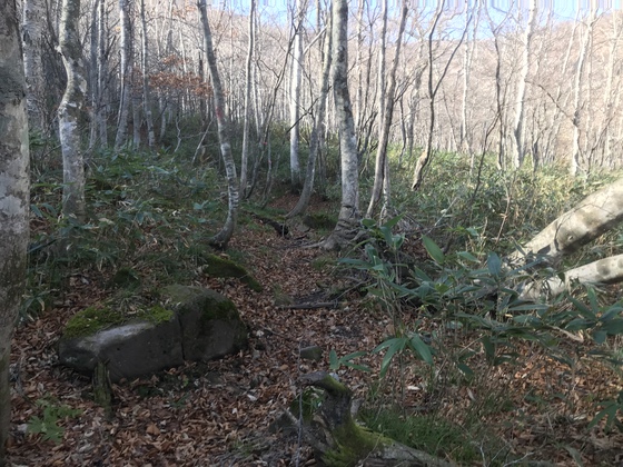 北泉ヶ岳hike 北泉ヶ岳hike