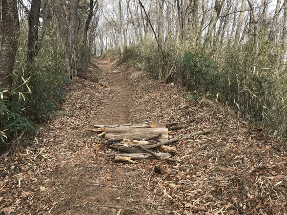 番ヶ森山hike 番ヶ森山hike