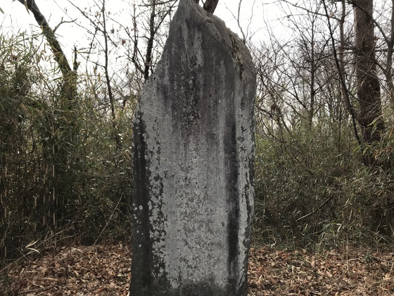 番ヶ森山hike 番ヶ森山hike