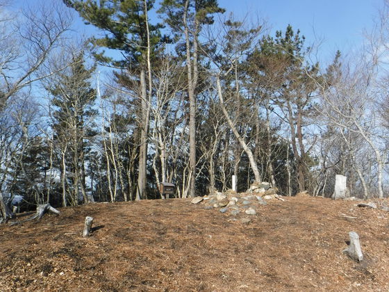 石投山hike 石投山hike