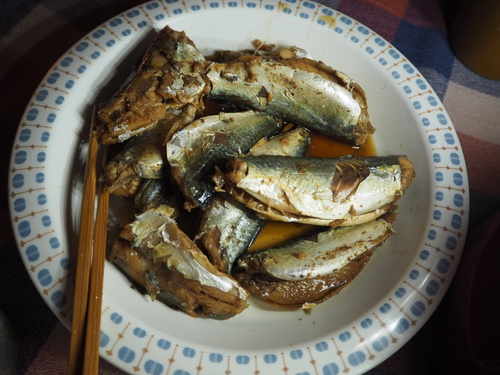 またまた釣りキャンプ... またまた釣りキャンプ...