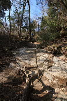大崩山登山