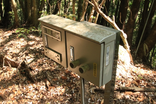 大崩山登山 大崩山登山