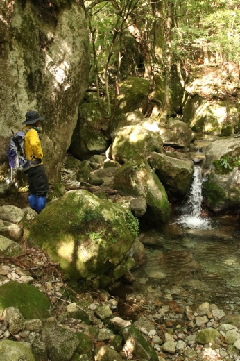 大崩山 登山 大崩山 登山