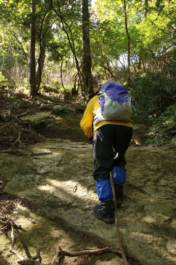 大崩山 登山 大崩山 登山