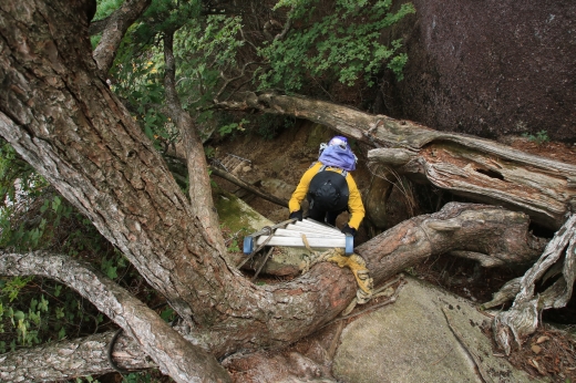大崩山 登山 大崩山 登山