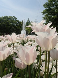 GWキャンプにプラスして^^ GWキャンプにプラスして^^