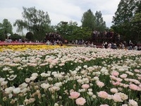 GWキャンプにプラスして^^ GWキャンプにプラスして^^