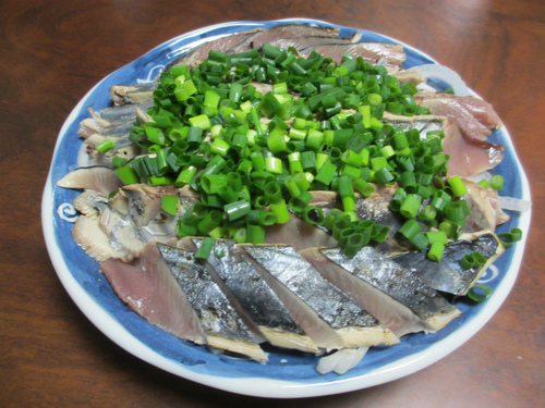 初鰹 初鰹