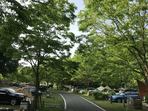 「SHIKOKU キャンホリ」 in 国営讃岐まんのう公園 追加情報 「SHIKOKU キャンホリ」 in 国営讃岐まんのう公園 追加情報