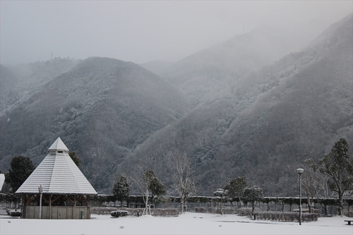 四国三郎の郷で雪中キャンプ