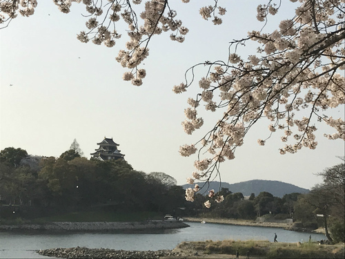 2018年備忘録(3月~7月) 2018年備忘録(3月~7月)