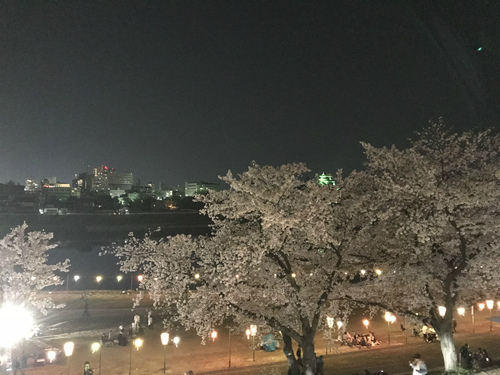 2018年備忘録(3月~7月) 2018年備忘録(3月~7月)