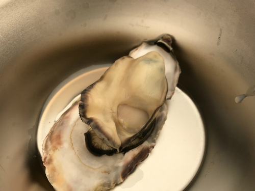 赤穂海浜公園で牡蠣キャンプ(後編) 赤穂海浜公園で牡蠣キャンプ(後編)
