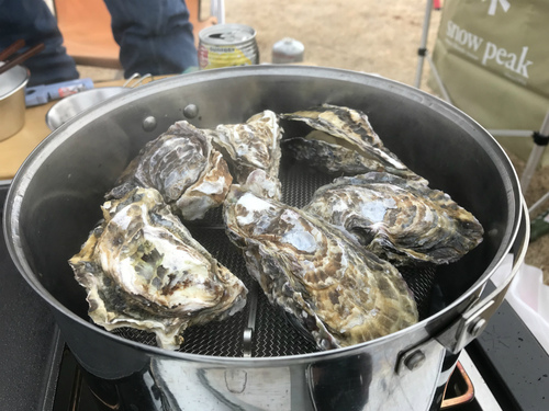 赤穂海浜公園で牡蠣キャンプ(後編) 赤穂海浜公園で牡蠣キャンプ(後編)