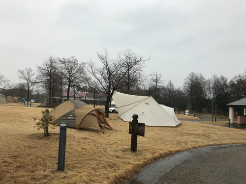 赤穂海浜公園で牡蠣キャンプ 赤穂海浜公園で牡蠣キャンプ