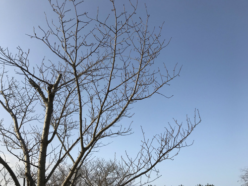 赤穂海浜公園で牡蠣キャンプ 赤穂海浜公園で牡蠣キャンプ