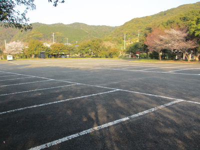 さくらキャンプ(初日) さくらキャンプ(初日)