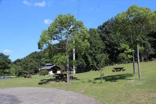 香川県内の「野営地」が減少している件 香川県内の「野営地」が減少している件