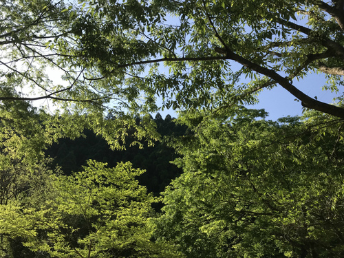 ぐるキャン △ (後編) ぐるキャン △ (後編)