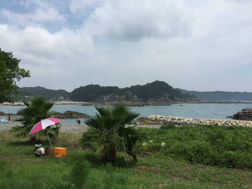 国立公園キャンプ IN 土佐清水(後編) 国立公園キャンプ IN 土佐清水(後編)