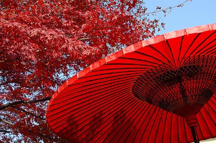 「SHIKOKU キャンホリ」 in 国営讃岐まんのう公園 追加情報 「SHIKOKU キャンホリ」 in 国営讃岐まんのう公園 追加情報