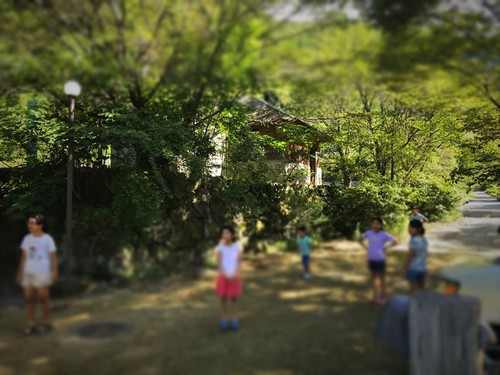 ぼくの夏休み2019(中編) ぼくの夏休み2019(中編)
