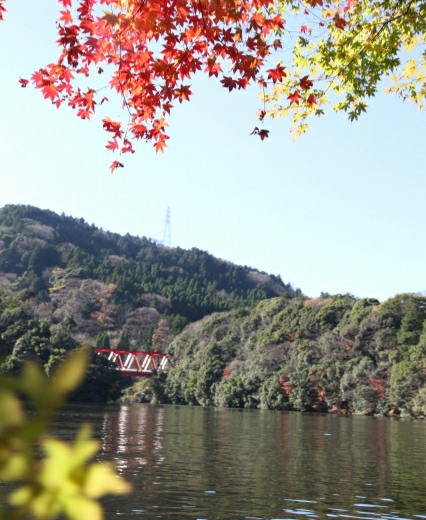 晩秋の亀山湖カヤック＆キャンプ
