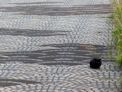 大黒ふ頭海づり公園、まだ公園エリア入れず 大黒ふ頭海づり公園、まだ公園エリア入れず