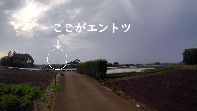 車のディーラーは苦手なので抜け出し運用 車のディーラーは苦手なので抜け出し運用