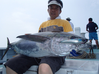 2015 相模湾 マグロ釣果報告