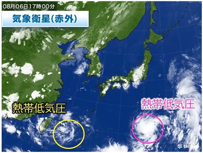 何処もかしこも高水温! 何処もかしこも高水温!