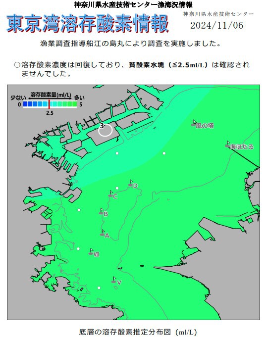 週間釣り天気!11/11~11/15 週間釣り天気!11/11~11/15