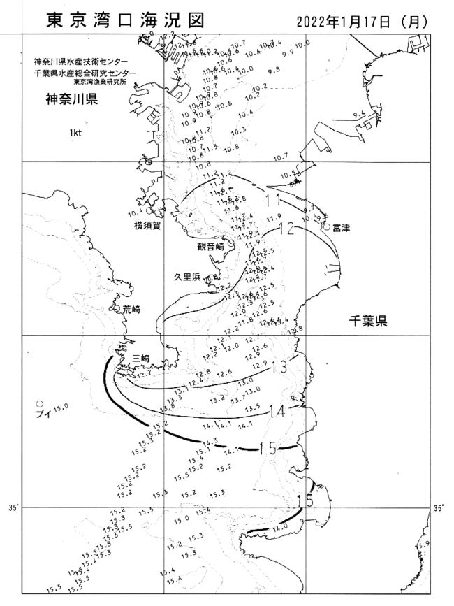 メジナが釣れる水温下限は?12℃が限界か? メジナが釣れる水温下限は?12℃が限界か?