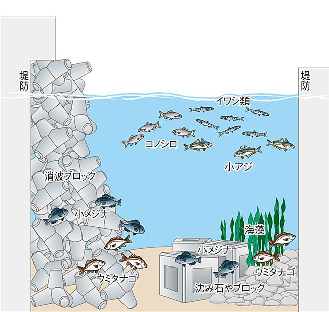 熱海港攻め所研究! 熱海港攻め所研究!